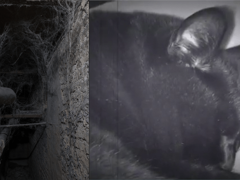 Cadavre exquis # Canal&nbsp;3