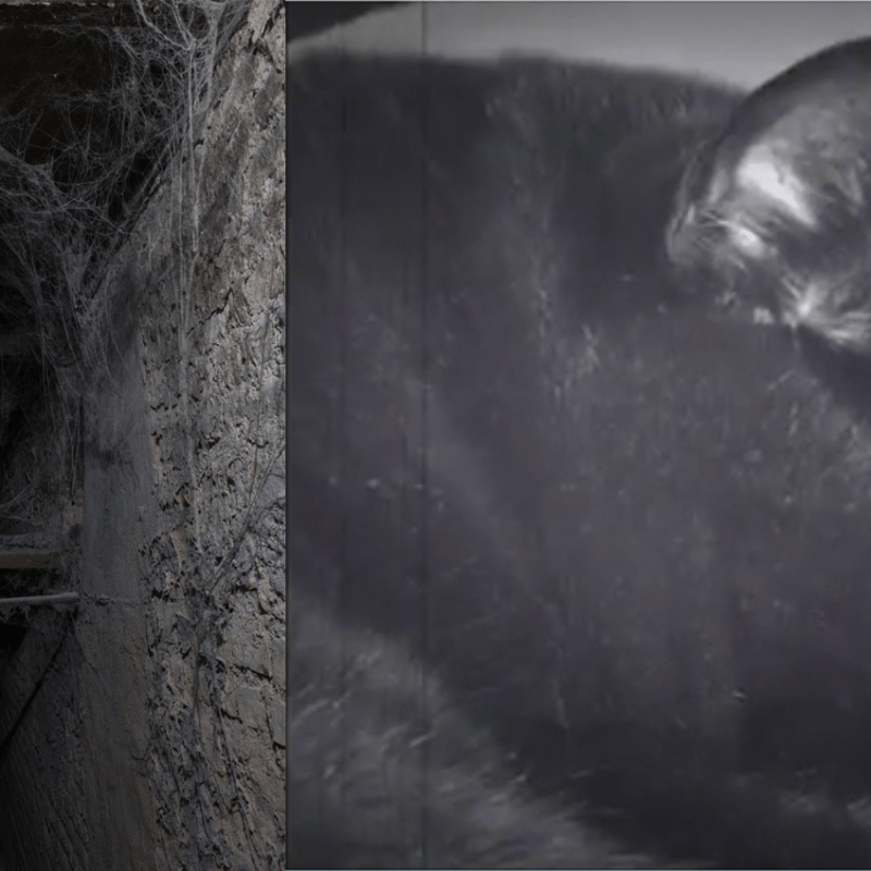 Cadavre exquis # Canal&nbsp;3