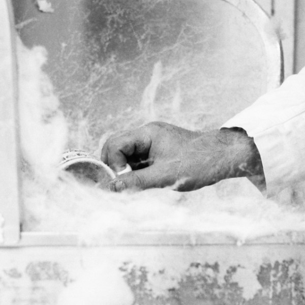 Petite forme # Ancrée&nbsp;3