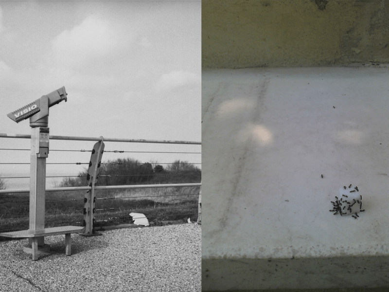 Cadavre exquis # Canal&nbsp;4