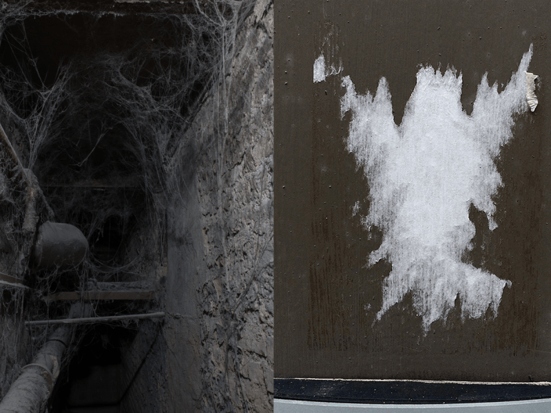 Cadavre exquis # Canal&nbsp;5