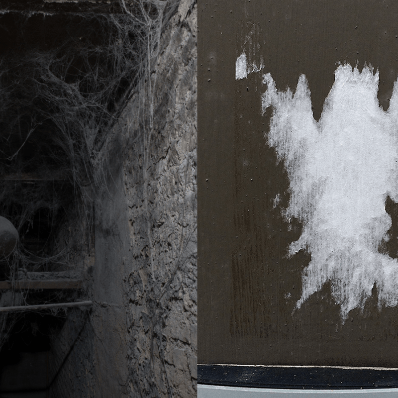 Cadavre exquis # Canal&nbsp;5